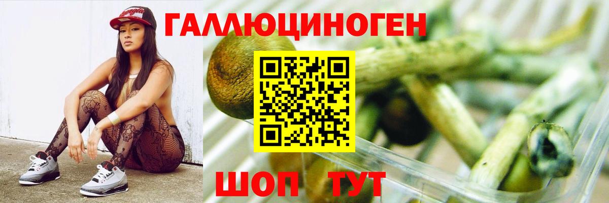 Псилоцибиновые грибы Psilocybine cubensis Ростов-на-Дону